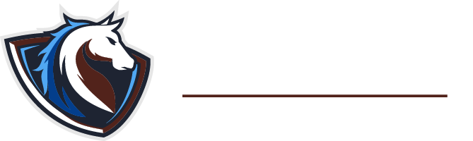 American High School Academy logo